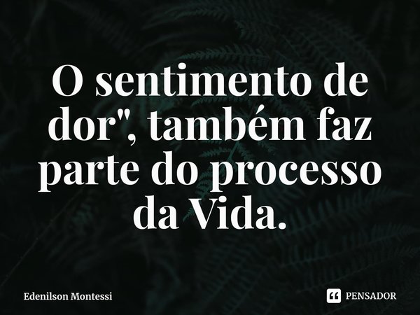 ⁠O sentimento de dor", também faz parte do processo da Vida.... Frase de Edenilson Montessi.