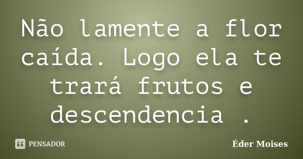 Não lamente a flor caída. Logo ela te trará frutos e descendencia .... Frase de Éder Moises.