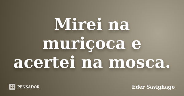 Mirei na muriçoca e acertei na mosca.... Frase de Eder Savighago.