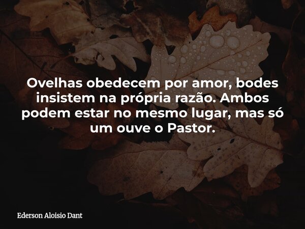 ⁠Ovelhas obedecem por amor, bodes insistem na própria razão. Ambos podem estar no mesmo lugar, mas só um ouve o Pastor.... Frase de Ederson Aloisio Dant.