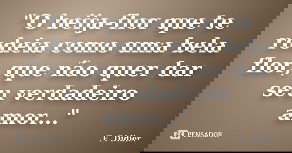 "O beija-flor que te rodeia como uma bela flor, que não quer dar seu verdadeiro amor..."... Frase de E.Didier.