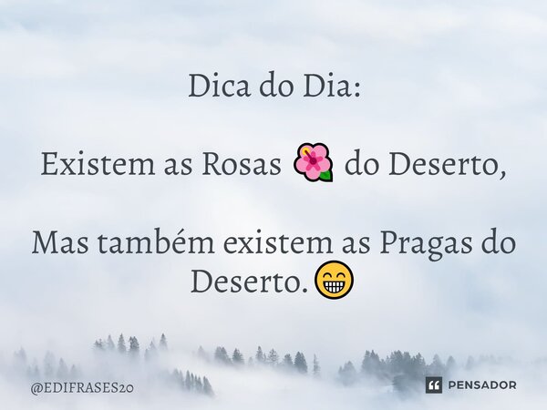 ⁠⁠⁠Dica do Dia: Existem as Rosas 🌺 do Deserto, Mas também existem as Pragas do Deserto.😁... Frase de EDIFRASES20.