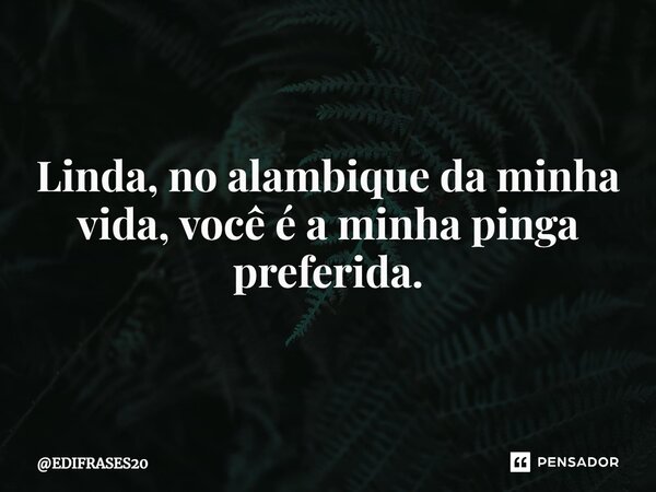 ⁠Linda, no alambique da minha vida, você é a minha pinga preferida.... Frase de EDIFRASES20.