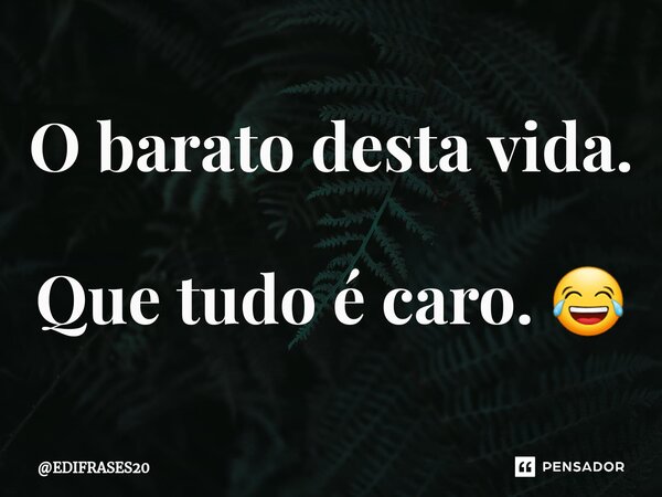 ⁠O barato desta vida. Que tudo é caro. 😂... Frase de EDIFRASES20.