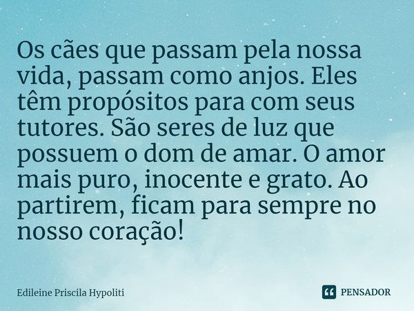 Os cães que passam pela nossa vida, passam como anjos. Eles têm propósitos para com seus tutores. São seres de luz que possuem o dom de amar. O amor mais puro, ... Frase de Edileine Priscila Hypoliti.