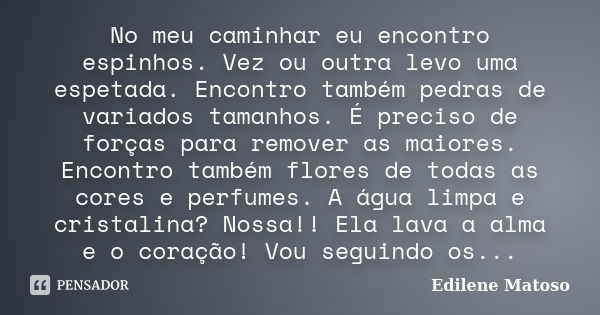 No meu caminhar eu encontro espinhos. Vez ou outra levo uma espetada. Encontro também pedras de variados tamanhos. É preciso de forças para remover as maiores. ... Frase de Edilene Matoso.