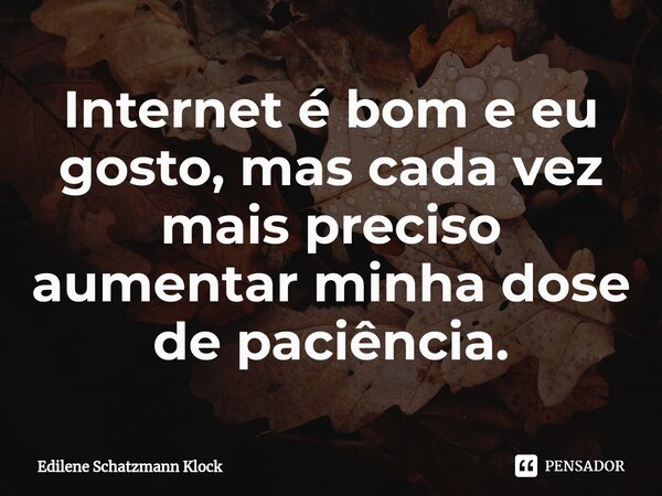 ⁠Internet é bom e eu gosto, mas cada vez mais preciso aumentar minha dose de paciência.... Frase de Edilene Schatzmann Klock.