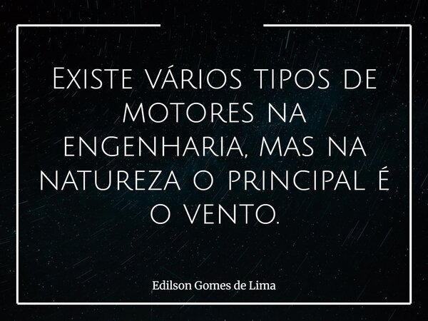 Existe vários tipos de motores na engenharia, mas na natureza o principal é o vento.... Frase de Edilson Gomes de Lima.