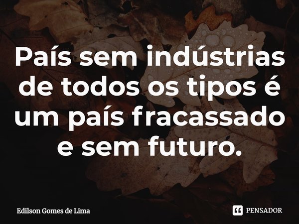 ⁠País sem indústrias de todos os tipos é um país fracassado e sem futuro.... Frase de Edilson Gomes de Lima.