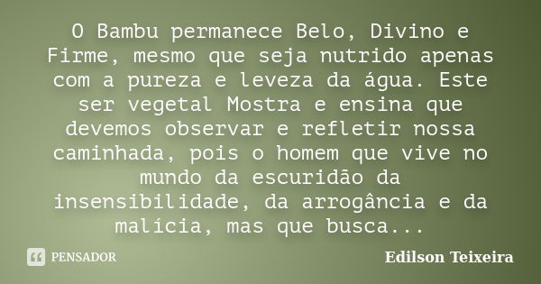 O Bambu permanece Belo, Divino e Firme, mesmo que seja nutrido apenas com a pureza e leveza da água. Este ser vegetal Mostra e ensina que devemos observar e ref... Frase de Edilson Teixeira.