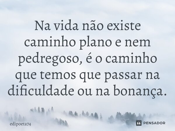 Na vida não existe caminho plano e nem pedregoso, é o caminho que temos que passar na dificuldade ou na bonança.... Frase de edipoeta74.