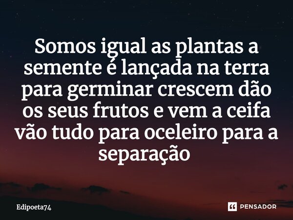 Somos igual as plantas a semente é lançada na terra para germinar crescem dão os seus frutos e vem a ceifa vão tudo para oceleiro para a separação ⁠... Frase de edipoeta74.