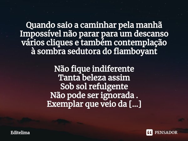 ⁠Quando saio a caminhar pela manhã
Impossível não parar para um descanso
vários cliques e também contemplação
à sombra sedutora do flamboyant Não fique indifere... Frase de editelima.