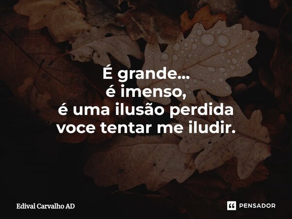 É grande... é imenso, é uma ilusão perdida voce tentar me iludir.... Frase de Edival Carvalho AD.