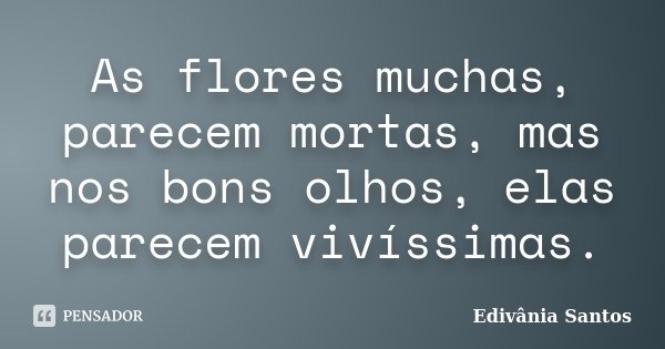 As flores muchas, parecem mortas, mas nos bons olhos, elas parecem vivíssimas.... Frase de Edivânia Santos.