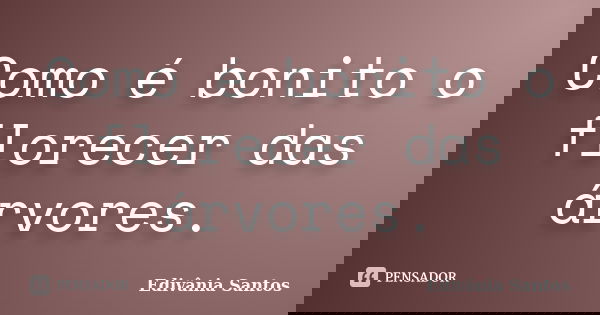 Como é bonito o florecer das árvores.... Frase de Edivânia Santos.