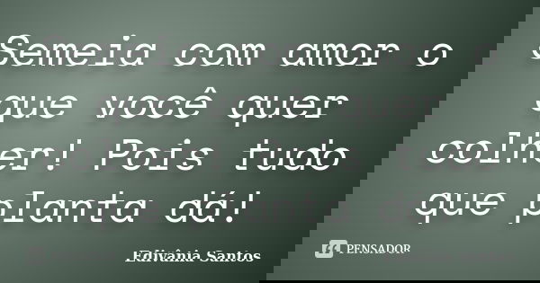 Semeia com amor o que você quer colher! Pois tudo que planta dá!... Frase de Edivânia Santos.