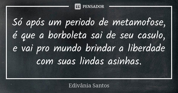 Só após um periodo de metamofose, é que a borboleta sai de seu casulo, e vai pro mundo brindar a liberdade com suas lindas asinhas.... Frase de Edivânia Santos.