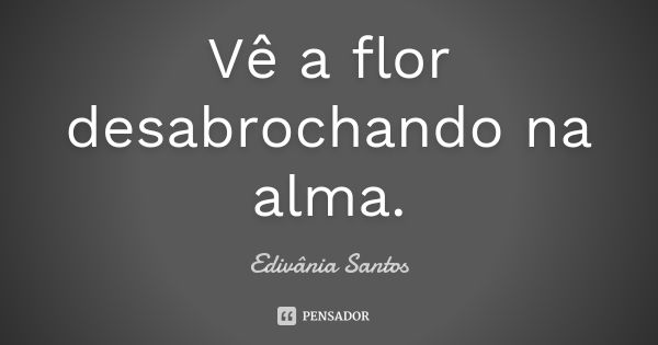 Vê a flor desabrochando na alma.... Frase de Edivânia Santos.