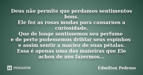 Deus não permite que perdamos sentimentos bons. Ele fez as rosas mudas para causarnos a curiosidade. Que de longe sentissemos seu perfume e de perto pudessemos ... Frase de Edmilton Pedroso.