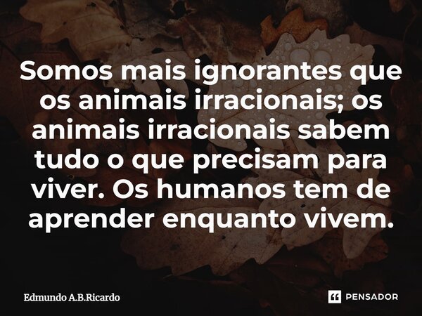 ⁠Somos mais ignorantes que os animais irracionais; os animais irracionais sabem tudo o que precisam para viver. Os humanos tem de aprender enquanto vivem.... Frase de Edmundo A.B.Ricardo.