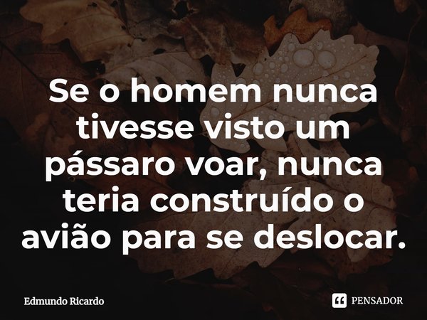 ⁠Se o homem nunca tivesse visto um pássaro voar, nunca teria construído o avião para se deslocar.... Frase de Edmundo Ricardo.