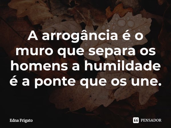 ⁠A arrogância é o muro que separa os homens a humildade é a ponte que os une.... Frase de Edna Frigato.