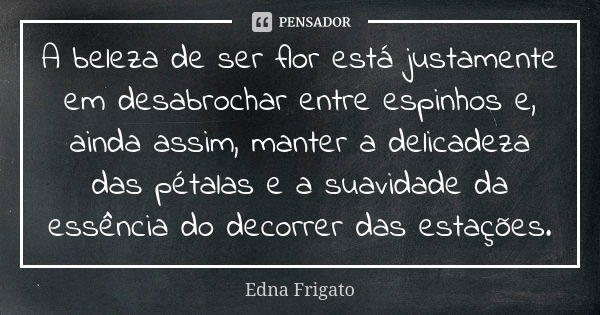 A beleza de ser flor está justamente em desabrochar entre espinhos e, ainda assim, manter a delicadeza das pétalas e a suavidade da essência do decorrer das est... Frase de Edna Frigato.