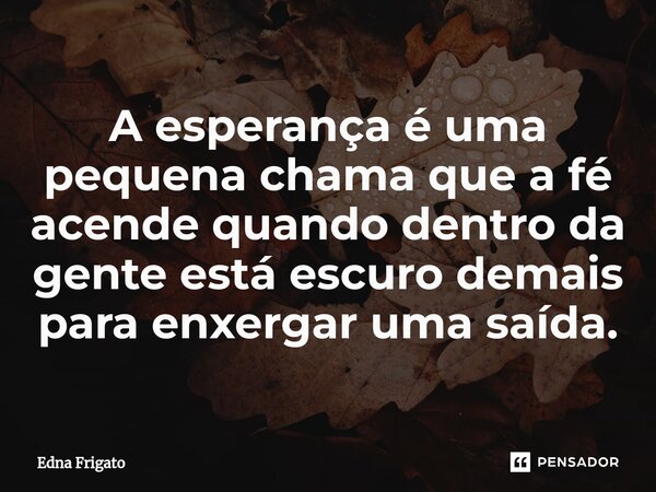 ⁠A esperança é uma pequena chama que a fé acende quando dentro da gente está escuro demais para enxergar uma saída.... Frase de Edna Frigato.