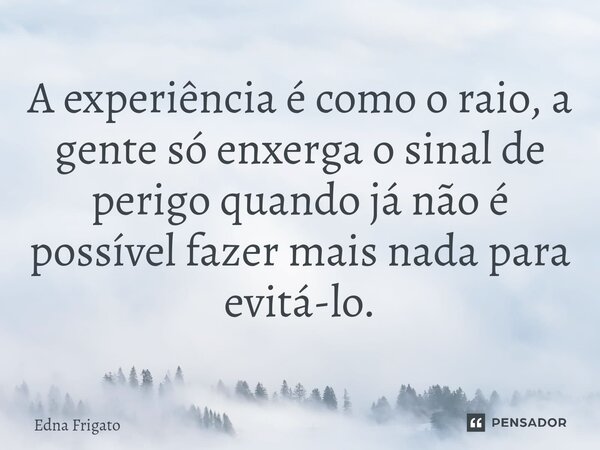 ⁠A experiência é como o raio, a gente só enxerga o sinal de perigo quando já não é possível fazer mais nada para evitá-lo.... Frase de Edna Frigato.