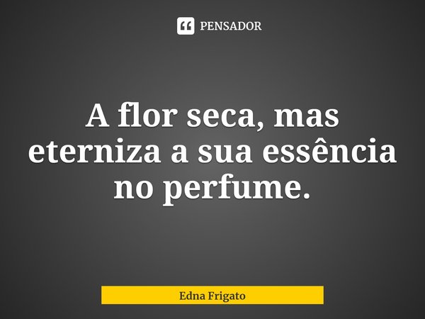 ⁠A flor seca, mas eterniza a sua essência no perfume.... Frase de Edna Frigato.