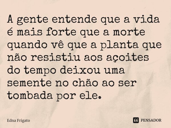 ⁠A gente entende que a vida é mais forte que a morte quando vê que a planta que não resistiu aos açoites do tempo deixou uma semente no chão ao ser tombada por ... Frase de Edna Frigato.