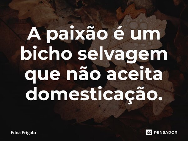 ⁠A paixão é um bicho selvagem que não aceita domesticação.... Frase de Edna Frigato.