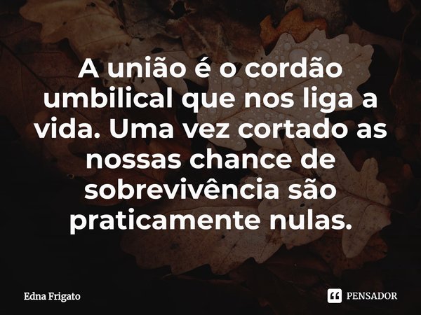 ⁠A união é o cordão umbilical que nos liga a vida. Uma vez cortado as nossas chance de sobrevivência são praticamente nulas.... Frase de Edna Frigato.