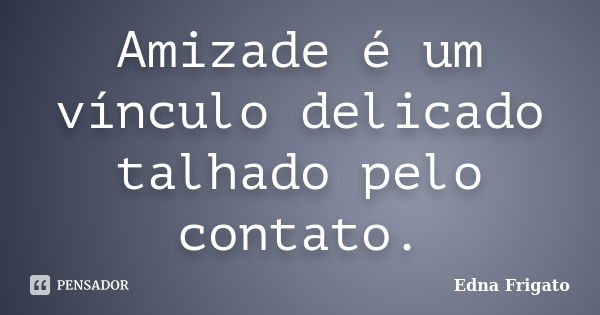 Amizade é um vínculo delicado talhado pelo contato.... Frase de Edna Frigato.