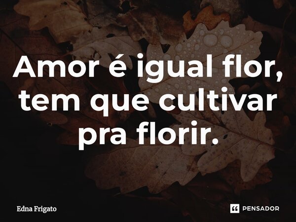 ⁠Amor é igual flor, tem que cultivar para florir.... Frase de Edna Frigato.