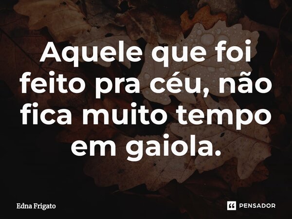 ⁠Aquele que foi feito pra céu, não fica muito tempo em gaiola.... Frase de Edna Frigato.