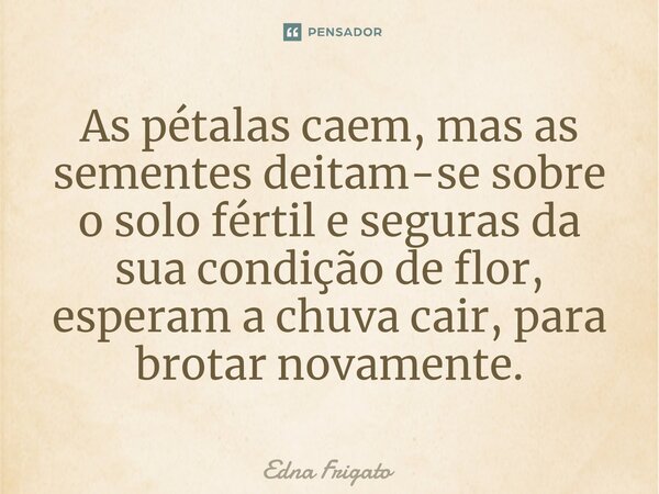 ⁠As pétalas caem, mas as sementes deitam-se sobre o solo fértil e seguras da sua condição de flor, esperam a chuva cair, para brotar novamente.... Frase de Edna Frigato.