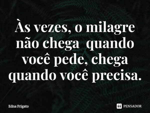 ⁠Às vezes, o milagre não chega quando você pede, chega quando você precisa.... Frase de Edna Frigato.