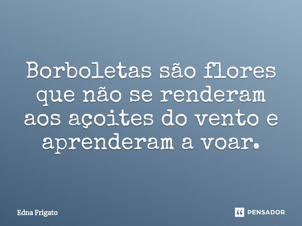 ⁠Borboletas são flores que não se renderam aos açoites do vento e aprenderam a voar.... Frase de Edna Frigato.