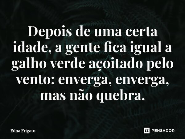 ⁠Depois de uma certa idade, a gente fica igual a galho verde açoitado pelo vento: enverga, enverga, mas não quebra.... Frase de Edna Frigato.