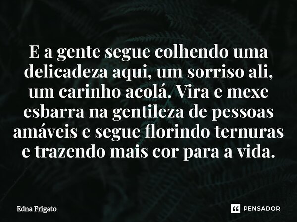 ⁠E a gente segue colhendo uma delicadeza aqui, um sorriso ali, um carinho acolá. Vira e mexe esbarra na gentileza de pessoas amáveis e segue florindo ternuras e... Frase de Edna Frigato.