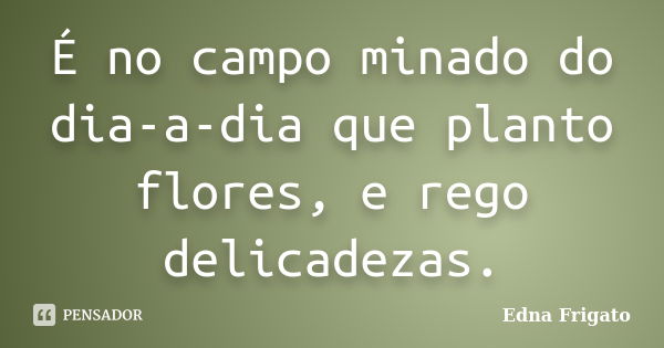 É no campo minado do dia-a-dia que planto flores, e rego delicadezas.... Frase de Edna Frigato.