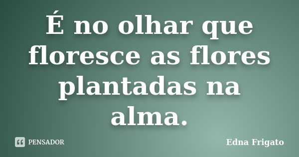 É no olhar que floresce as flores plantadas na alma.... Frase de Edna Frigato.