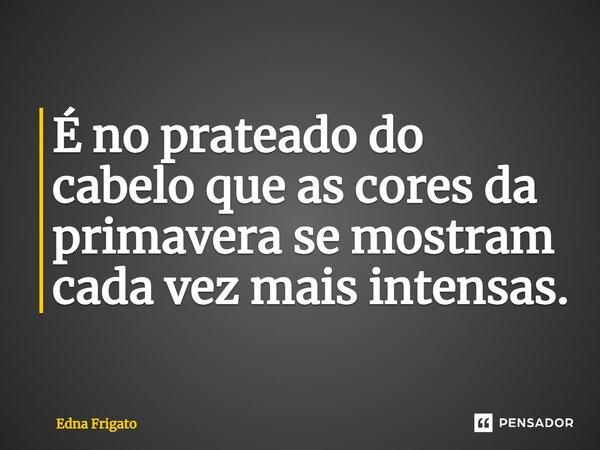 É no prateado do cabelo que as cores da primavera se mostram cada vez mais intensas.... Frase de Edna Frigato.