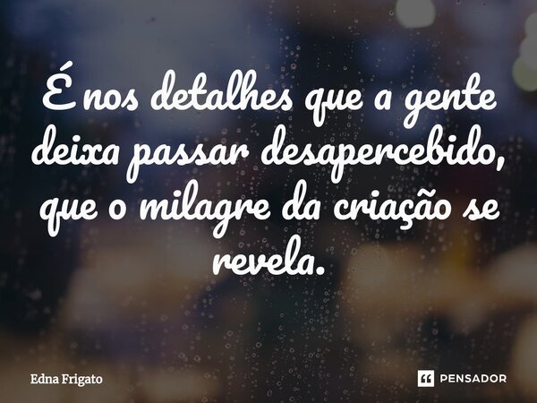 ⁠É nos detalhes que a gente deixa passar desapercebido, que o milagre da criação se revela.... Frase de Edna Frigato.
