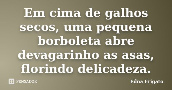 Em cima de galhos secos, uma pequena borboleta abre devagarinho as asas, florindo delicadeza.... Frase de Edna Frigato.