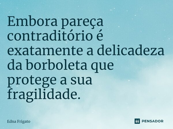 ⁠Embora pareça contraditório é exatamente a delicadeza da borboleta que protege a sua fragilidade.... Frase de Edna Frigato.