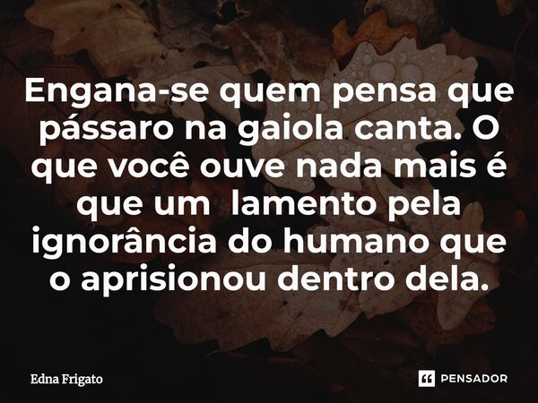 ⁠Engana-se quem pensa que pássaro na gaiola canta. O que você ouve nada mais é que um lamento pela ignorância do humano que o aprisionou dentro dela.... Frase de Edna Frigato.