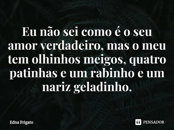 ⁠Eu não sei como é o seu amor verdadeiro, mas o meu tem olhinhos meigos, quatro patinhas e um rabinho e um nariz geladinho.... Frase de Edna Frigato.
